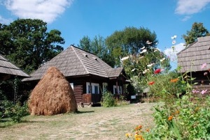Muzeul Satului